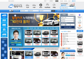 힐링카즈 포트폴리오